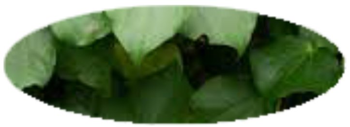 hinerongoa.com